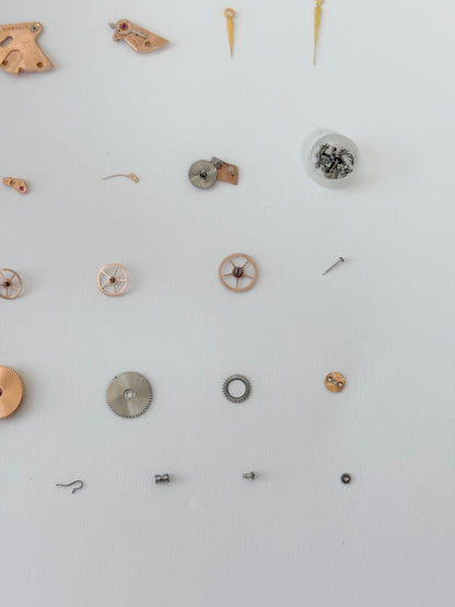 614fd15d-8074-4eae-ad9b-f86c8bf2a0a8