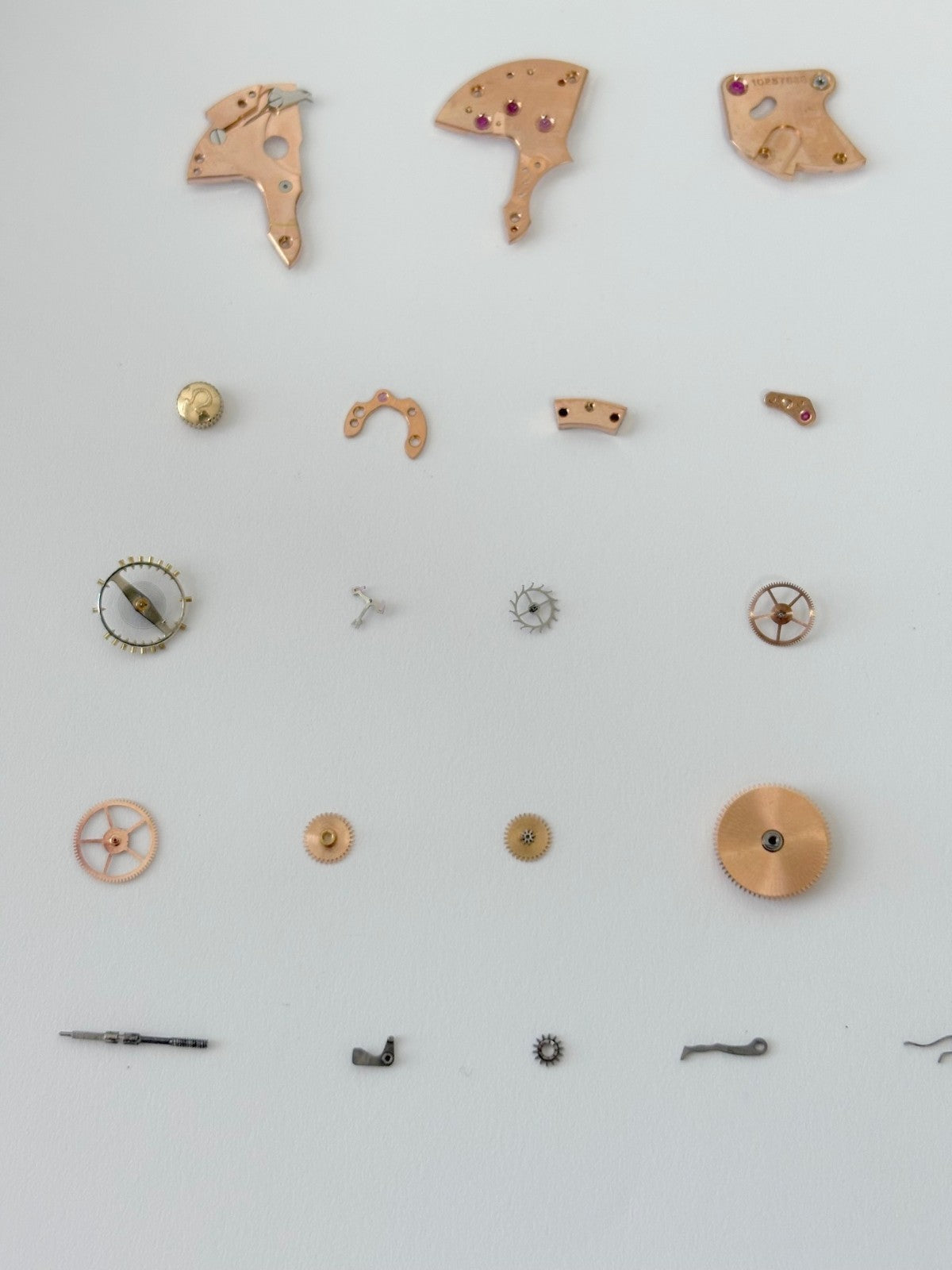 9cb86faa-38fb-4ffd-afd1-011c02d37462