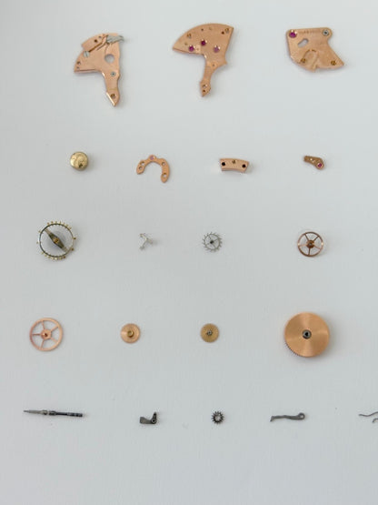 9cb86faa-38fb-4ffd-afd1-011c02d37462