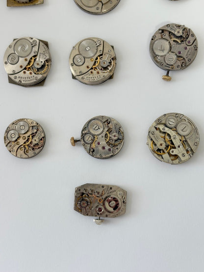 b8d090a2-953a-4818-b2db-7b54d40195e3