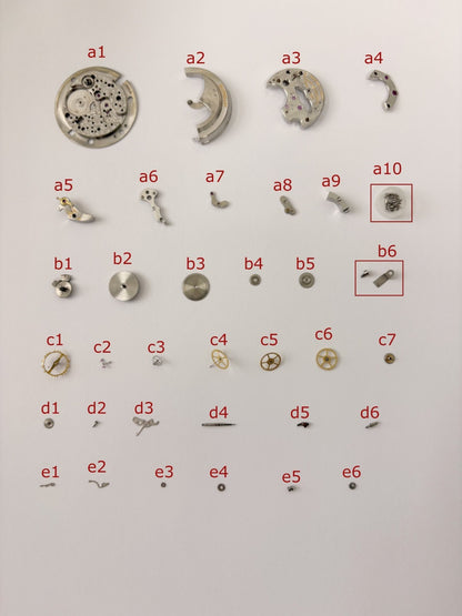 fd36c77d-259a-42e9-9ae5-19cdab9fb9df