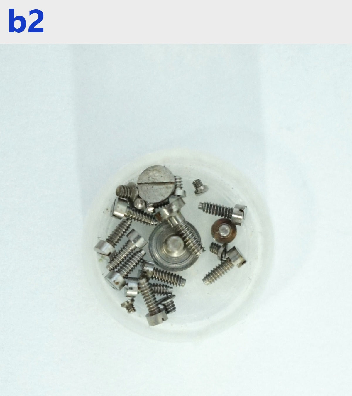 b2 set of screws